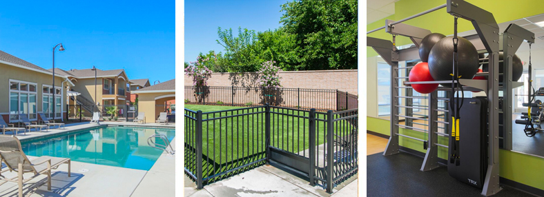 three pictures of pool, dog area and workout room